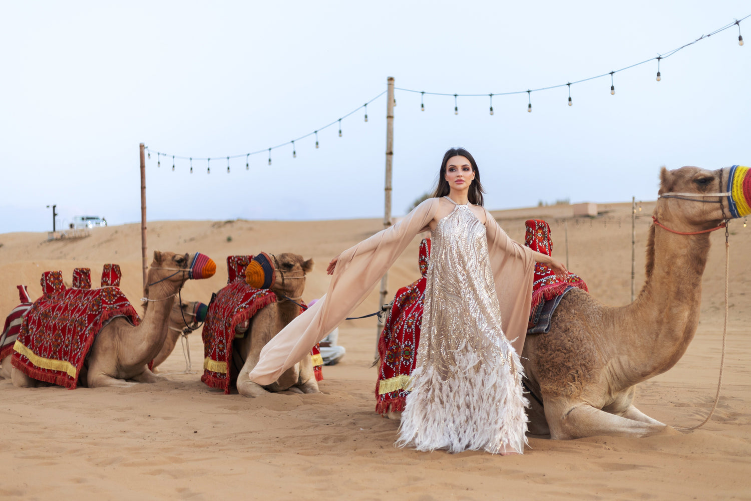 ✨ Dubai Desert Safari