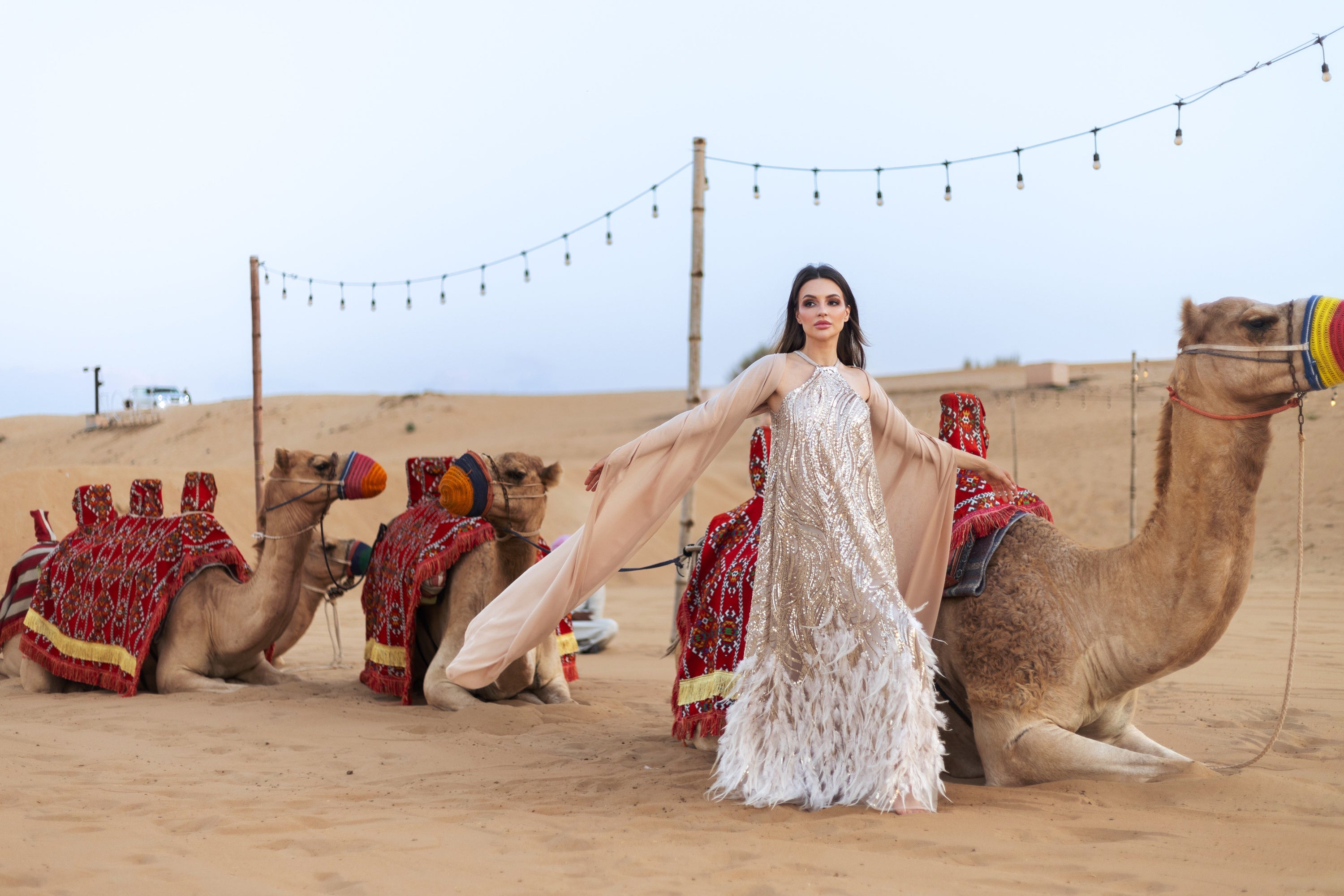 ✨ Dubai Desert Safari